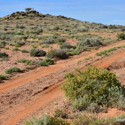 On the 'Old Mt Nor' West' four wheel drive track