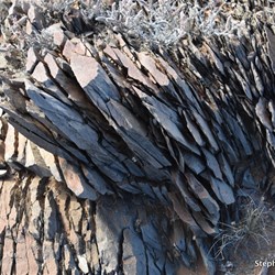 Rock Strata on Decoy Hill