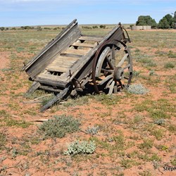 Relics of the past on the way out to Muloorina