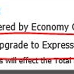 Checkout - Additional Delivery Options