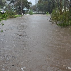 Not the type of thing to come home to