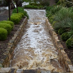 Not the type of thing to come home to