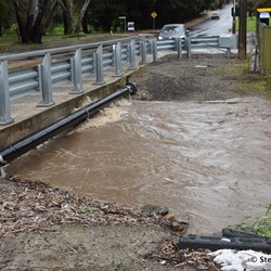 Not the type of thing to come home to