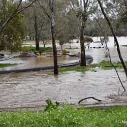 Not the type of thing to come home to