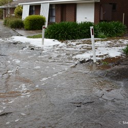 Not the type of thing to come home to