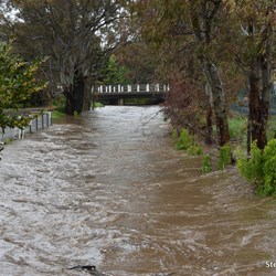 Not the type of thing to come home to