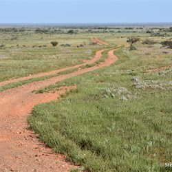 Lake Torrens Track 