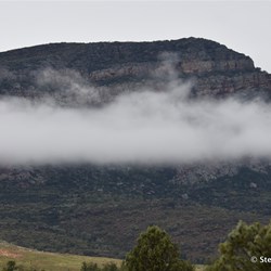 A very wet Rawnsley Park