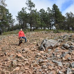 On the Hill walk near the campground