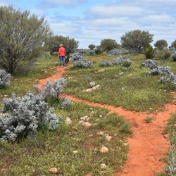 Castle Hill Walk - Hawker