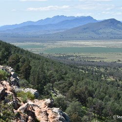 Jarvis Hill Lookout