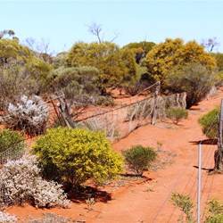 A multiple fence line