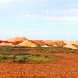 A typical opal field view