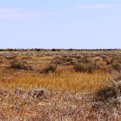 A view over the open country