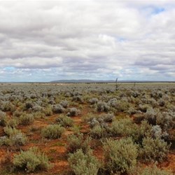 Roadside vegetation and wide horizons