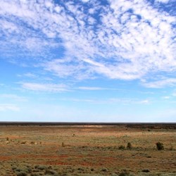 Open country south of Coober Pedy