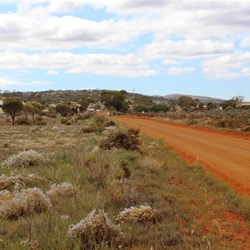 Approaching the homestead