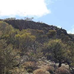 Organ pipes - ryolite pillars