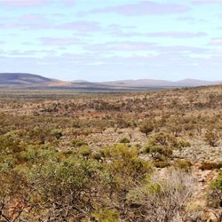 View of ranges from Organ Pipes parking area