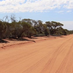 The road south to Kingoonya