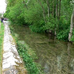 The River Piddle running through Puddletown