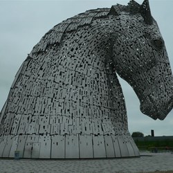 Kelpie detail