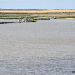 Lake Alexandrina and The Narrows from the Lighthouse