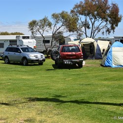 Narrung Free Camp site