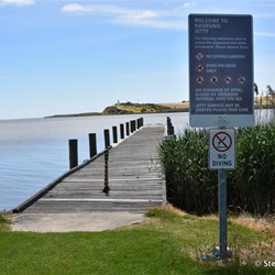 Small jetty overlooking Point Malcolm from the free camp site at Narrung
