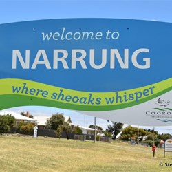 Narrung