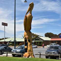 Giant hand crafted Pelican from an old Pine Tree