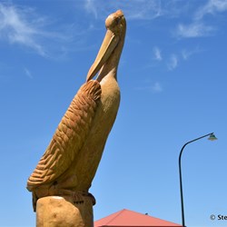Giant hand crafted Pelican from an old Pine Tree
