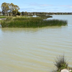 Lake Alexandrina at Meningie