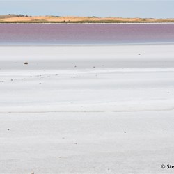 Pink Lakes north of Meningie