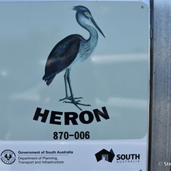 The Wellington ferry has the Heron as its name