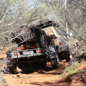 Meandering down the Savory Creek