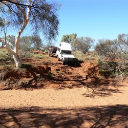 Scotty heading into the Savory Creek