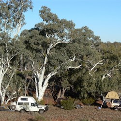 Camp beside the savory in the early morning light