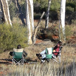 Warming up by the fire