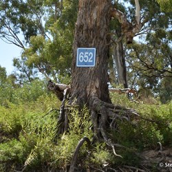 These blue and white River marker gives you the distance from the Murray Mouth