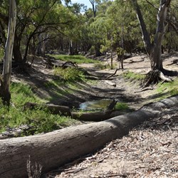 This small creek directly behind the State Border Marker