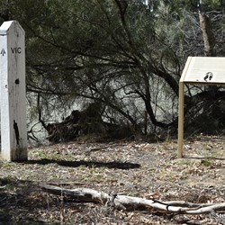 In a small clearing at the top of the bank, this lonely Corner marker sits