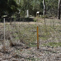 The only other sign of people visiting the area are these two modern Survey Markers