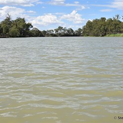 On the Murray after leaving MacCabe Corner