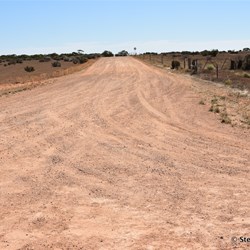 Looking North up the Border Track