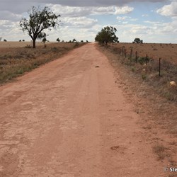 Back on the Boarder Track and Heading North