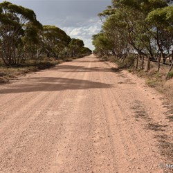Heading north on the Border Track
