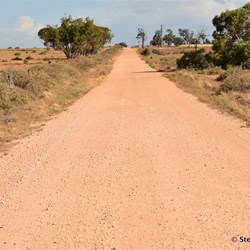 Heading north on the Border Track