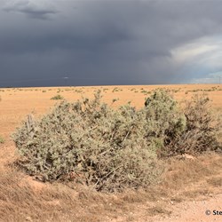 Looking back towards Higgins Cutting - the clouds tell their own story