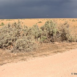 Looking back towards Higgins Cutting - the clouds tell their own story